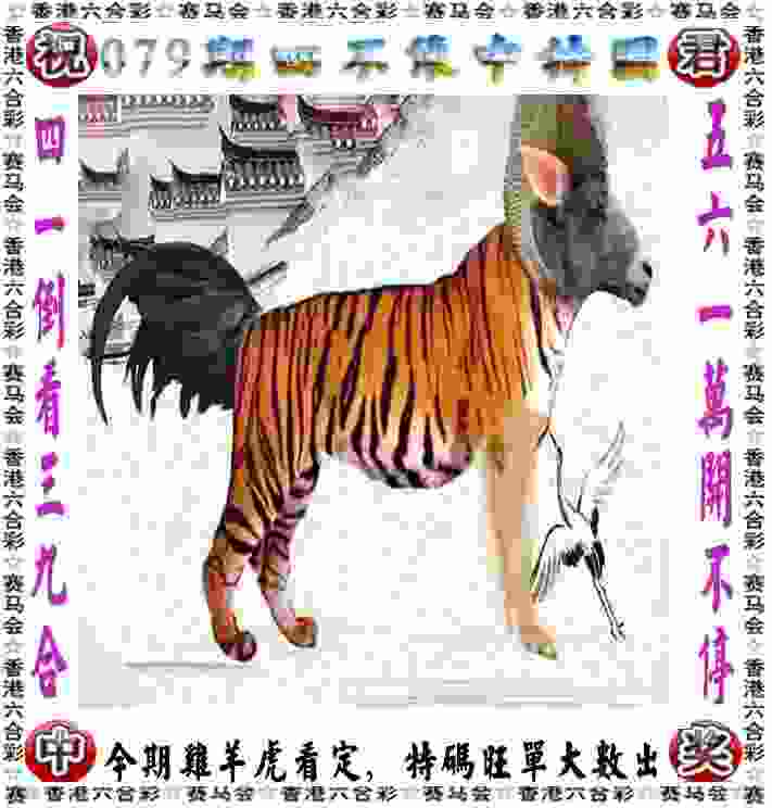 文一男篮晒出“家底” “罗曼组合”下月亮相